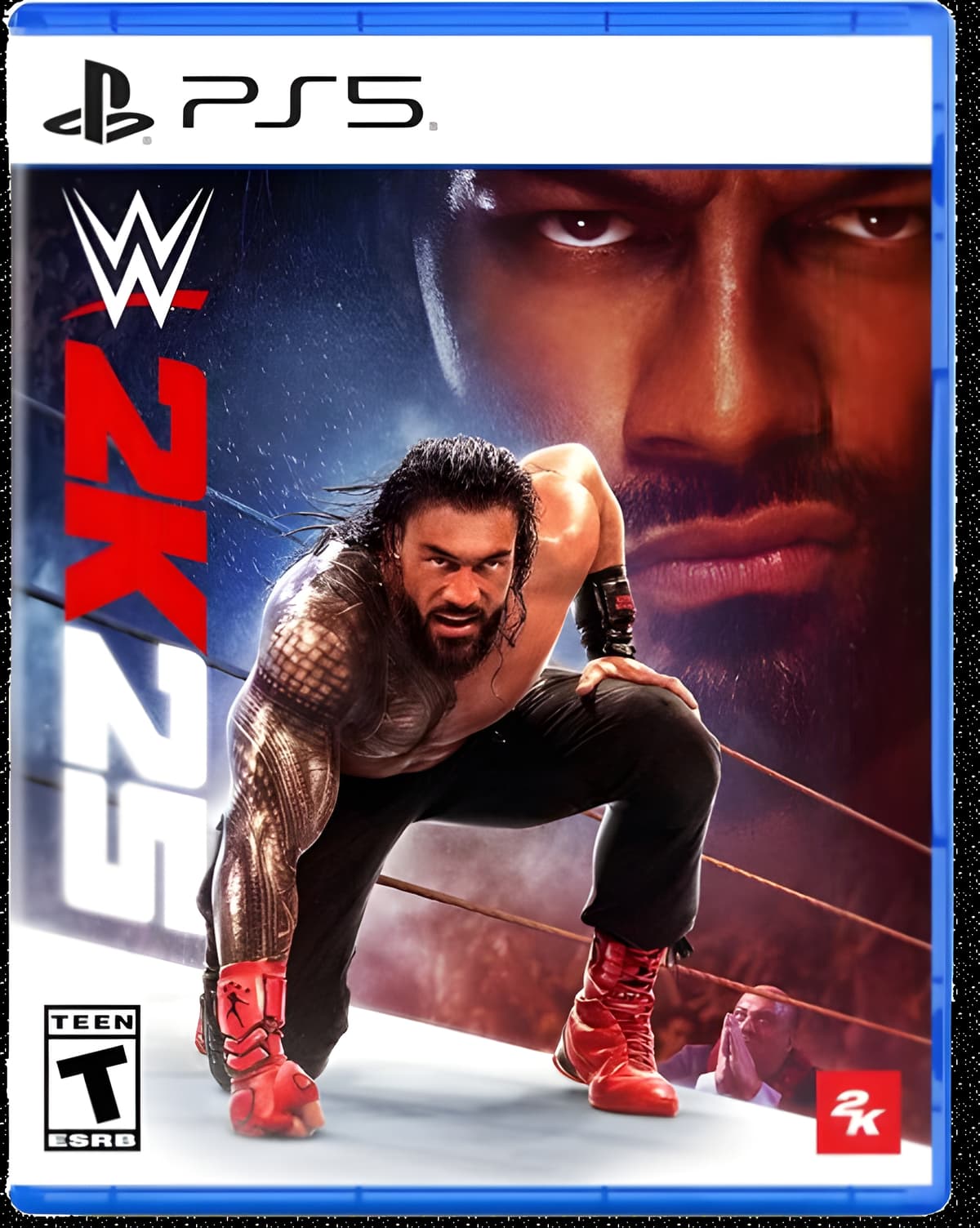WWE 2K25